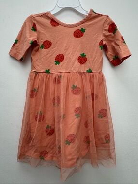 Hannah Anderson: Peach Strawberry Print Tulle Dress